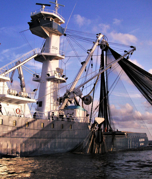 Fishing Rope