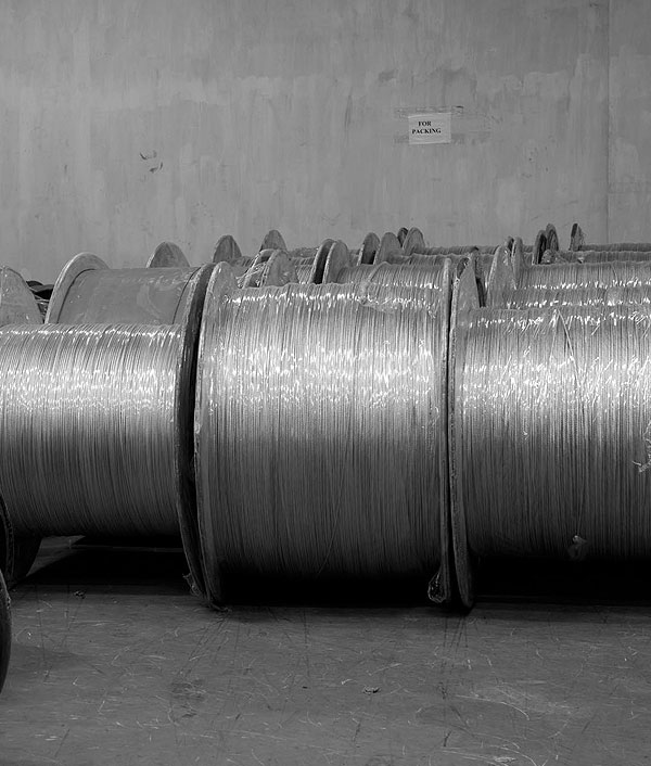 Conveyor Cord